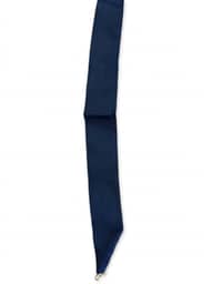 Generic award ribbon